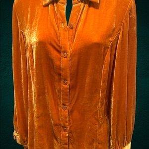 Coldwater Creek gold, velvet, button down blouse